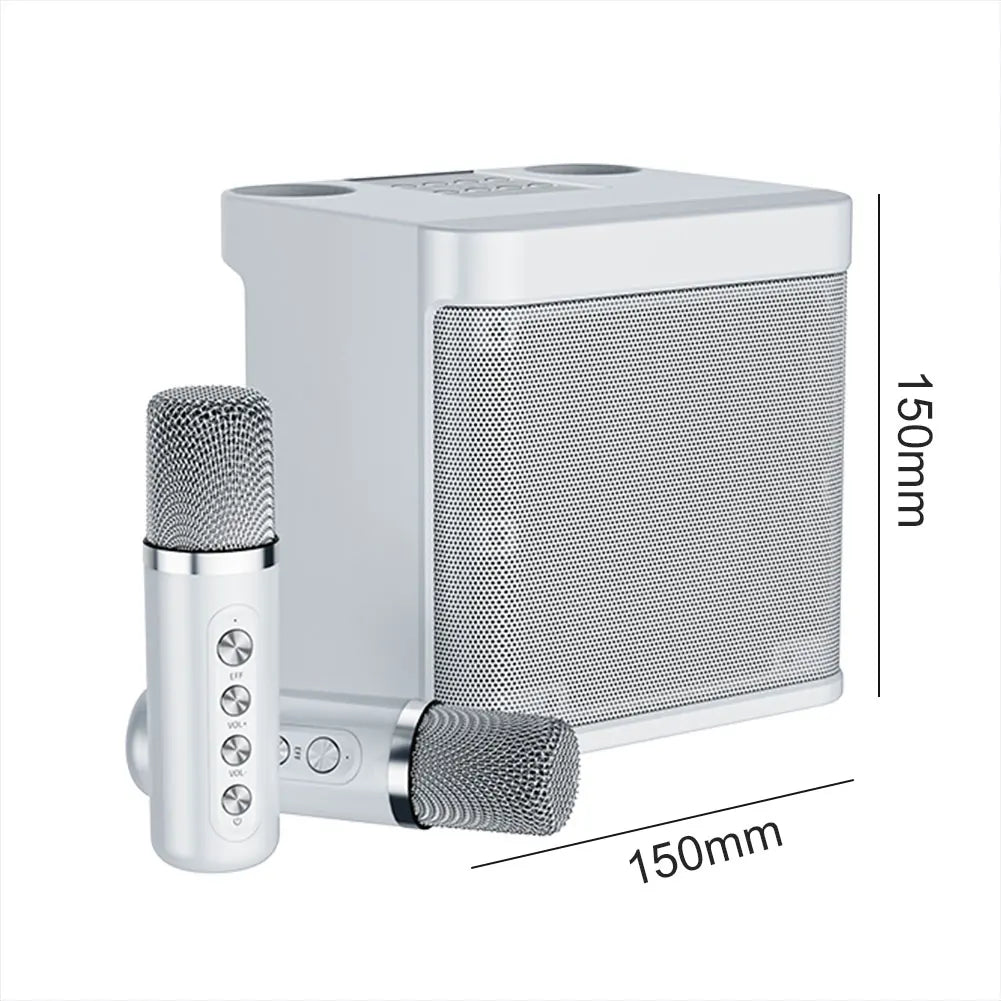 Multifunctional Wireless Bluetooth Speakers Family KTV Audio Set Dual Microphone